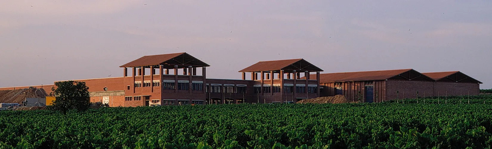 Complejo corporativo Cavas Chandón. TDA Arquitectura y Urbanismo.