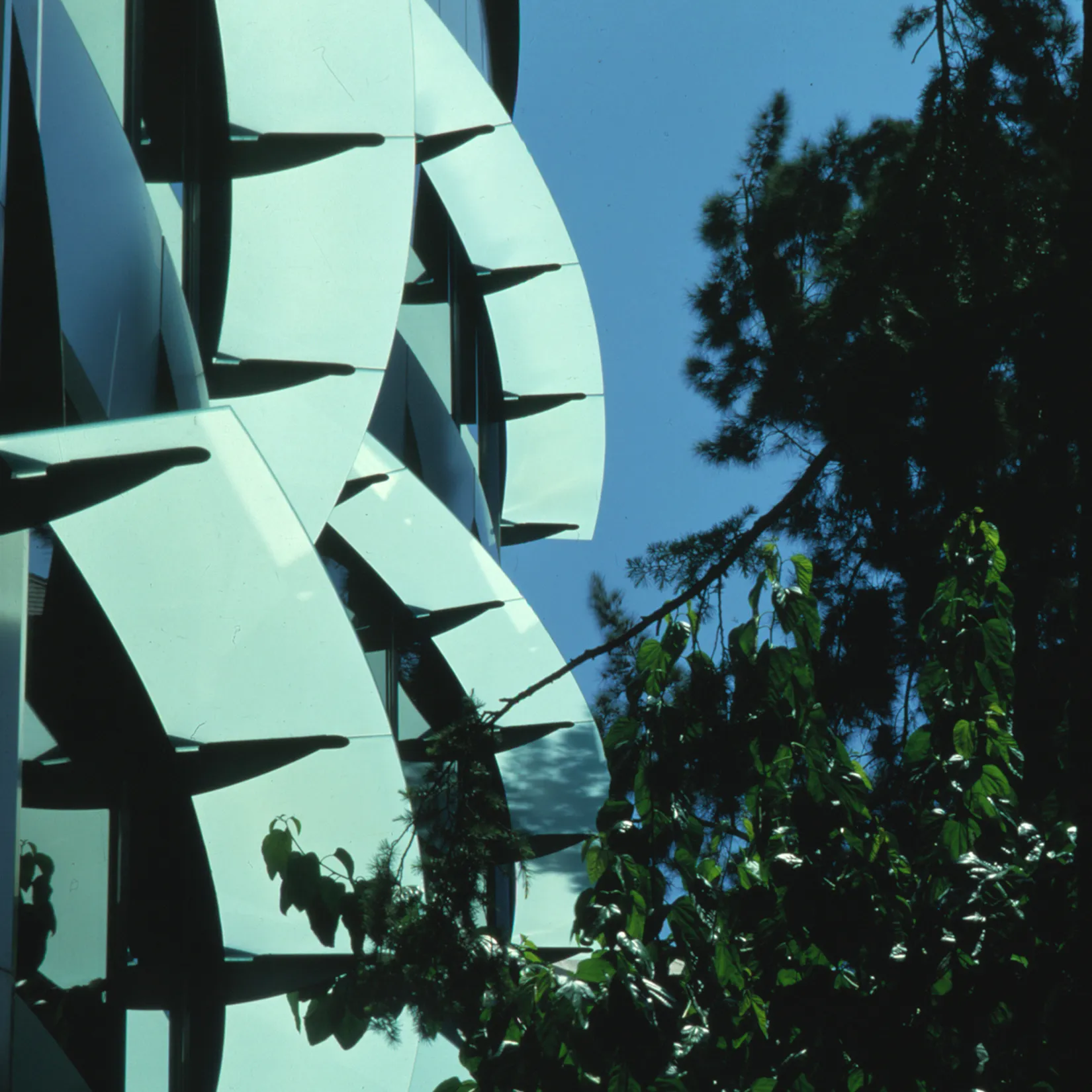 Via Augusta. TDA Arquitectura y Urbanismo.